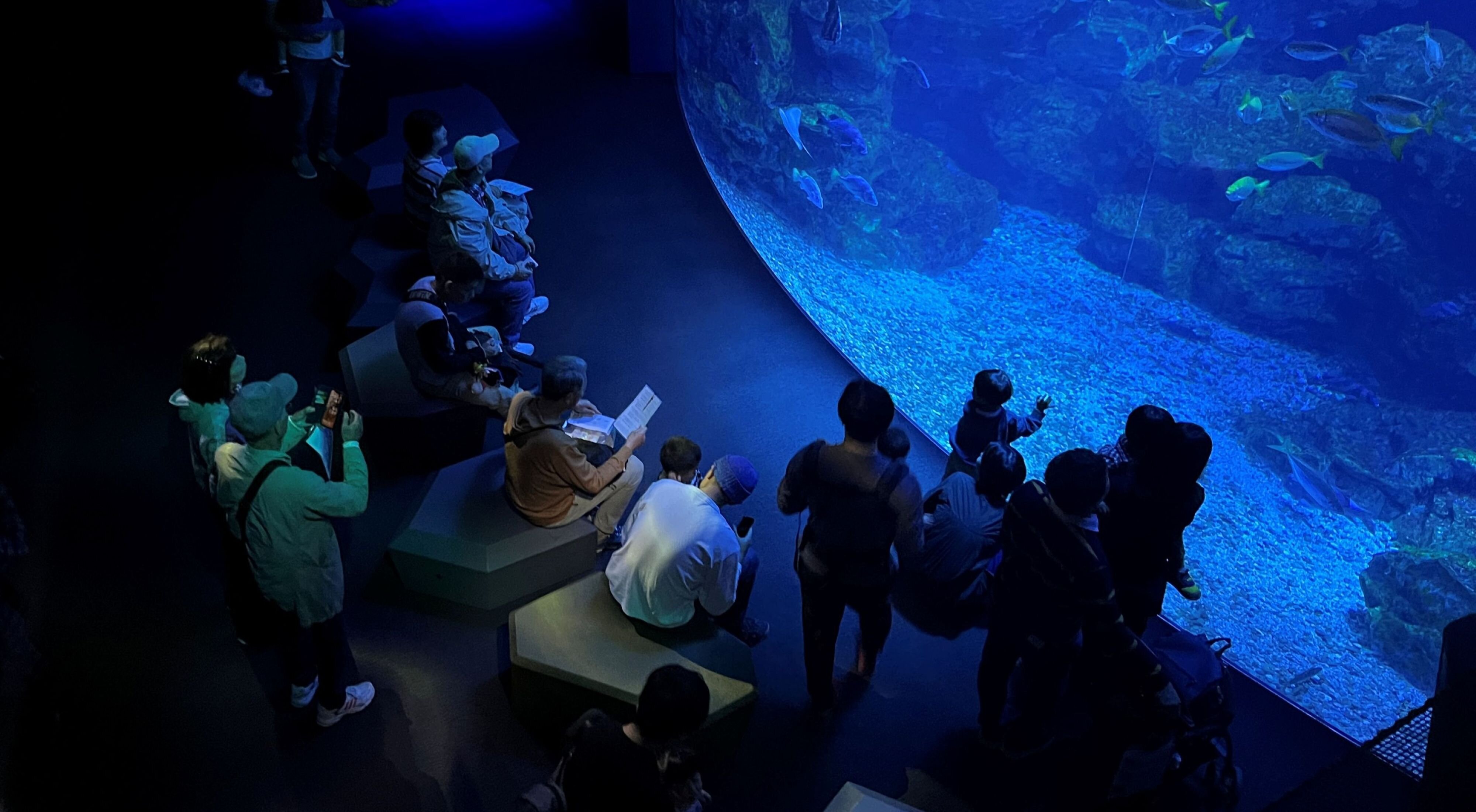 ①_文字なし_京都水族館20251025_top.jpg